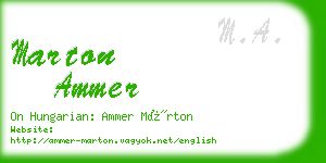 marton ammer business card